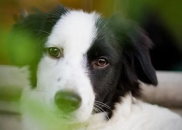 4 Couples & 4 Friends 게스트하우스