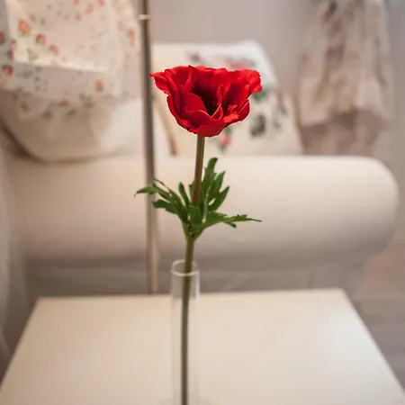 B&B 4 Couples & 4 Friends 2*