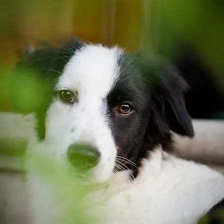 4 Couples & 4 Friends B&B