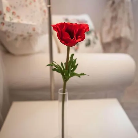 B&B 4 Couples & 4 Friends