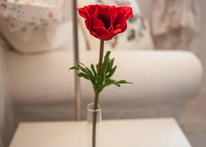 ゲストハウス 4 Couples & 4 Friends 2*