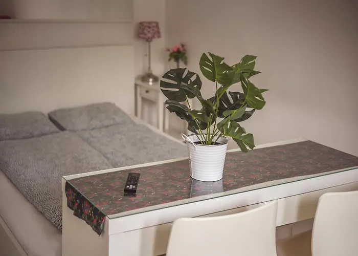 4 Couples & 4 Friends 2*