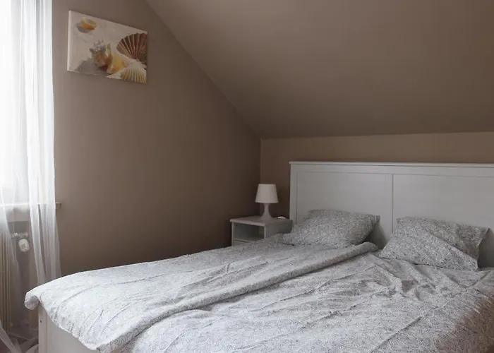 4 Couples & 4 Friends