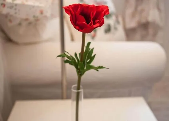 Pensjonat 4 Couples & 4 Friends